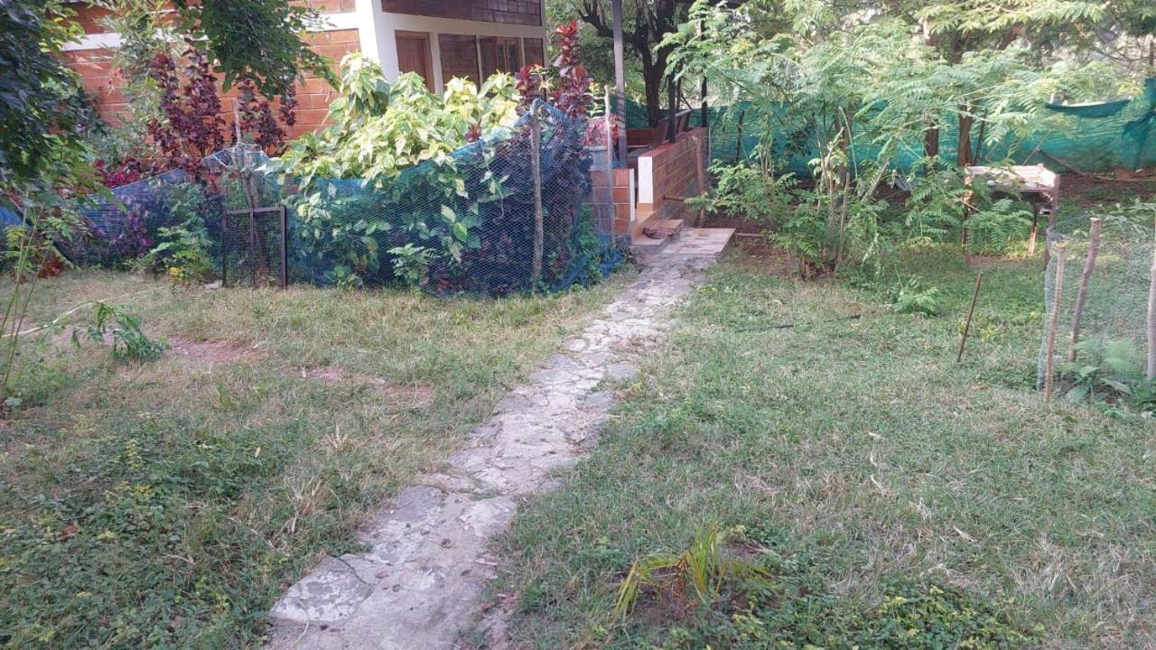 Green Hills Farm And Guest House Masinagudi Buitenkant foto